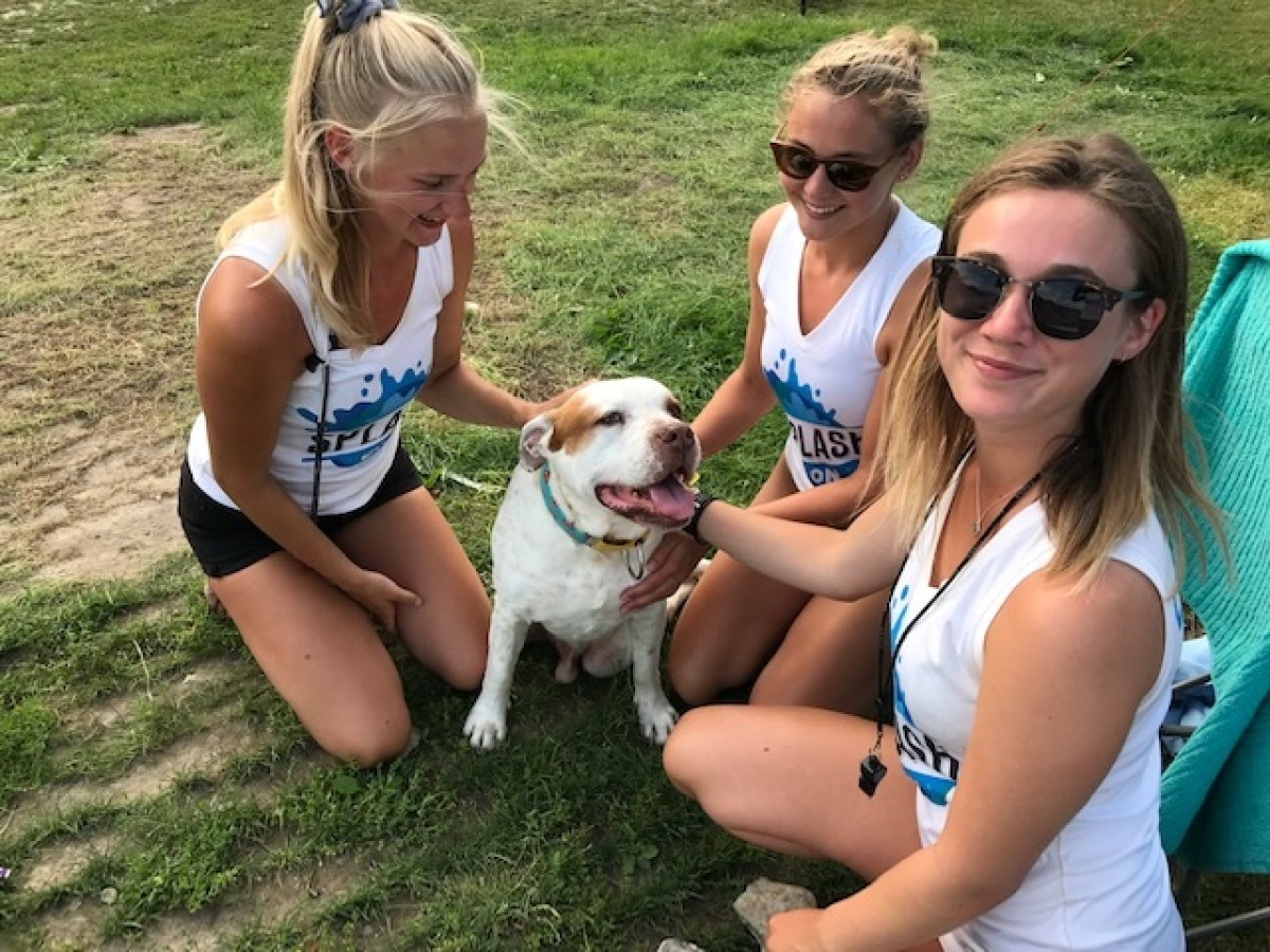 a woman and a dog sitting in the grass