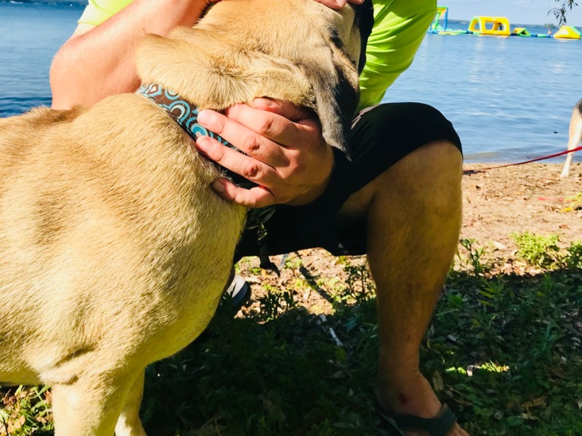 a person holding a dog