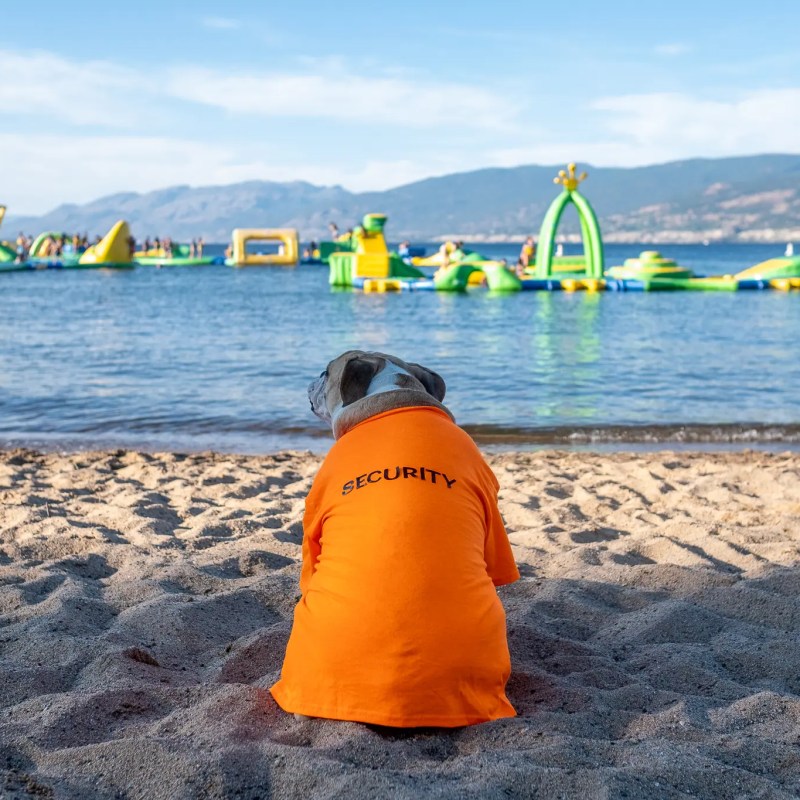 a group of people sitting at a beach